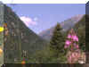 summermontains.jpg (51620 bytes)