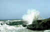 wave.jpg (44389 bytes)