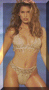 CCS062.GIF (128118 bytes)
