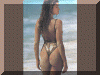 CCS065.GIF (134063 bytes)