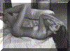 CC022.GIF (65556 bytes)